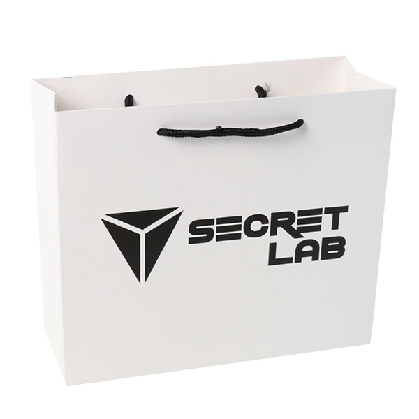 Paper bag with logo
